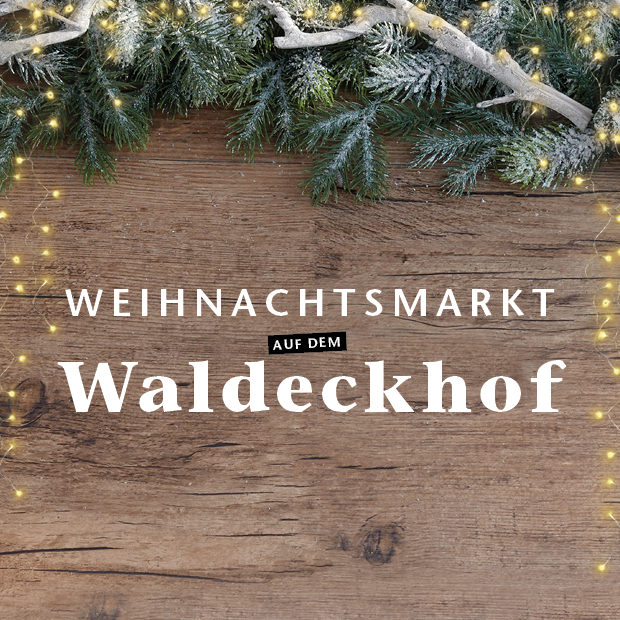 2025 09 27 Motiv Beitrag