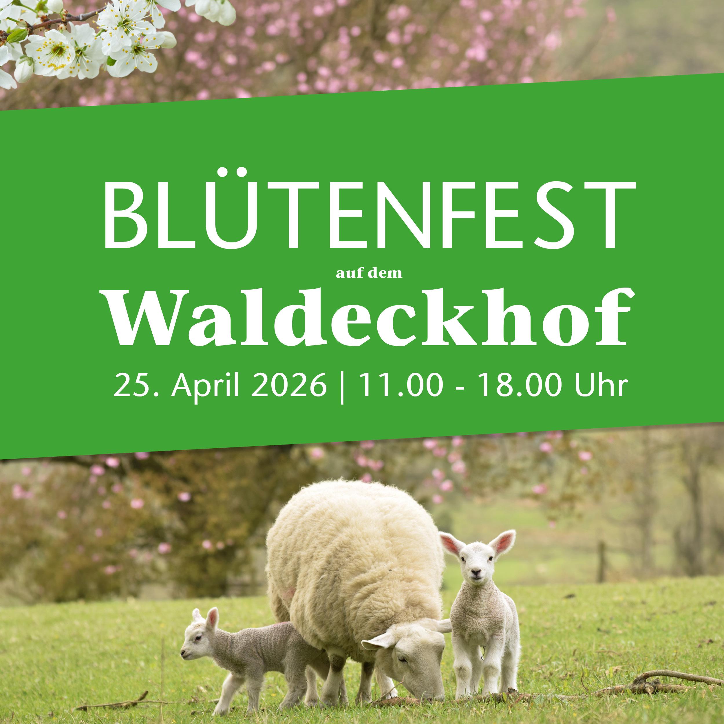 Teaser Verkaufsoffener Sonntag 2026