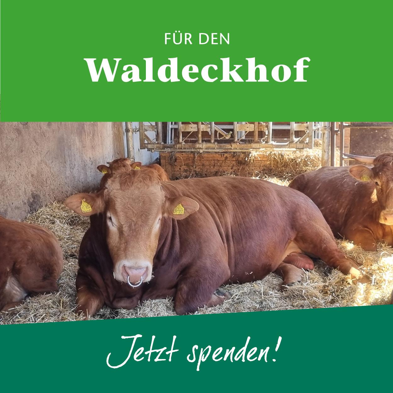 Teaser Verkaufsoffener Sonntag 2026