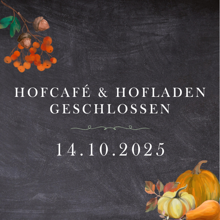 2025 09 27 Motiv Beitrag